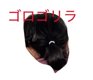 828637704
