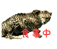 828638145