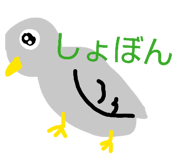 828646538