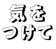 828667081
