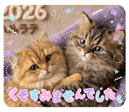 828670639