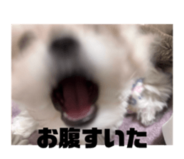 828671063