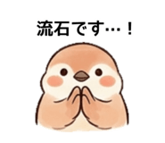 828672610