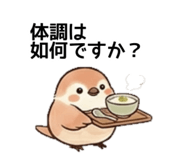 828672614