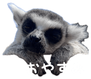 828683891