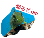828686409