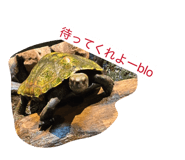 828686410