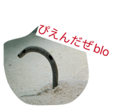 828686411