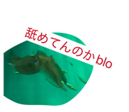 828686412