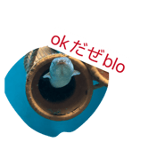 828686415