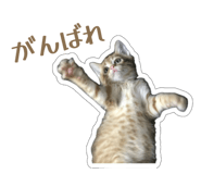 828689158