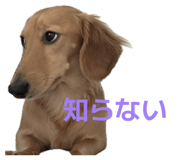 828689306