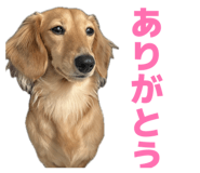 828689309