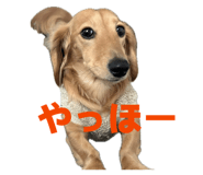 828689310