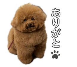 828689385