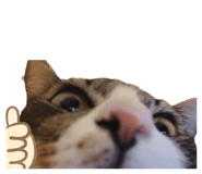 828694489
