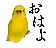 828699849