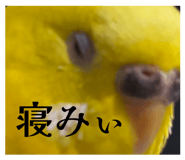 828699856