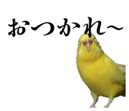 828699860