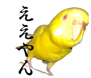 828699862