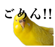 828699864