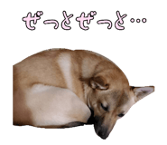 828703689