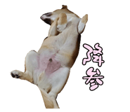 828703690