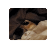 828703693