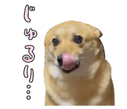 828703694