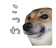 828703696