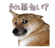 828703698