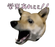 828703699