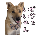828703701