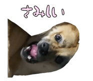 828703704