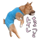 828703705