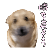 828703707