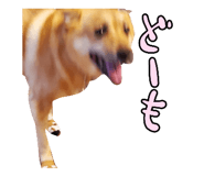 828703712