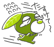 828705546
