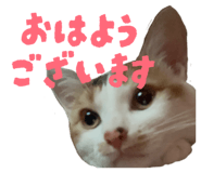 828710777