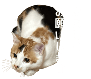 828710793