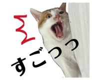 828710797