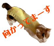 828710810