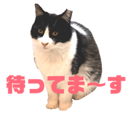 828710811
