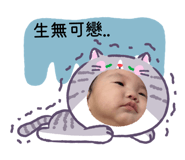 828715811