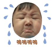 828715816