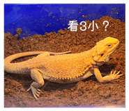 828732149