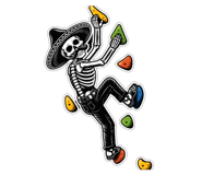 828733534