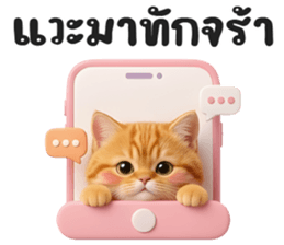 ลายที่ 7