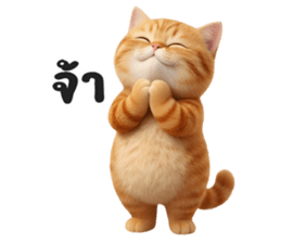 ลายที่ 9