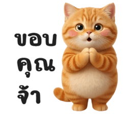 ลายที่ 11